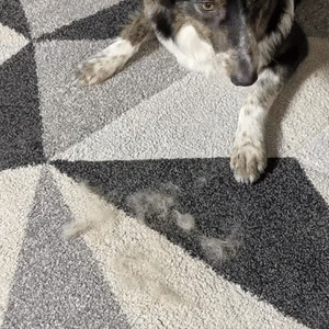 FURLIO™ PET HAIR REMOVAL GLOVE