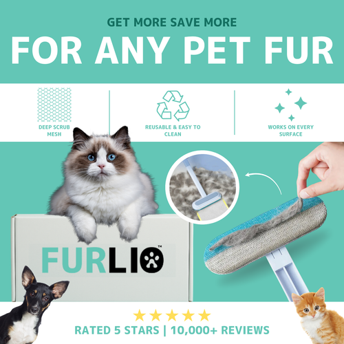 FURLIO™ 4 IN 1 PET HAIR REMOVAL BRUSH