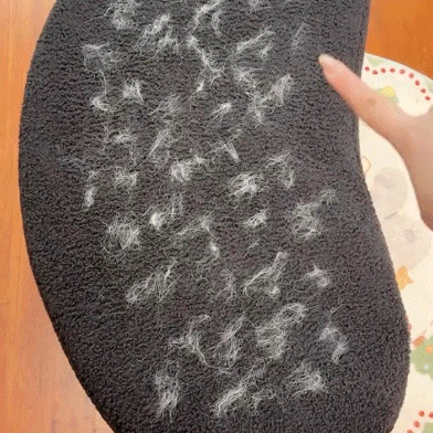 FURLIO™ 4 IN 1 PET HAIR REMOVAL BRUSH